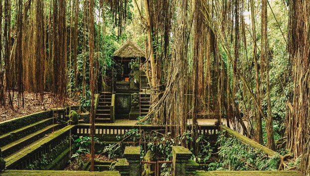Ubud Nature and Culture: Monkey Forest, Tegalalang Rice Terraces and more – Full-Day Tour - Photo 2